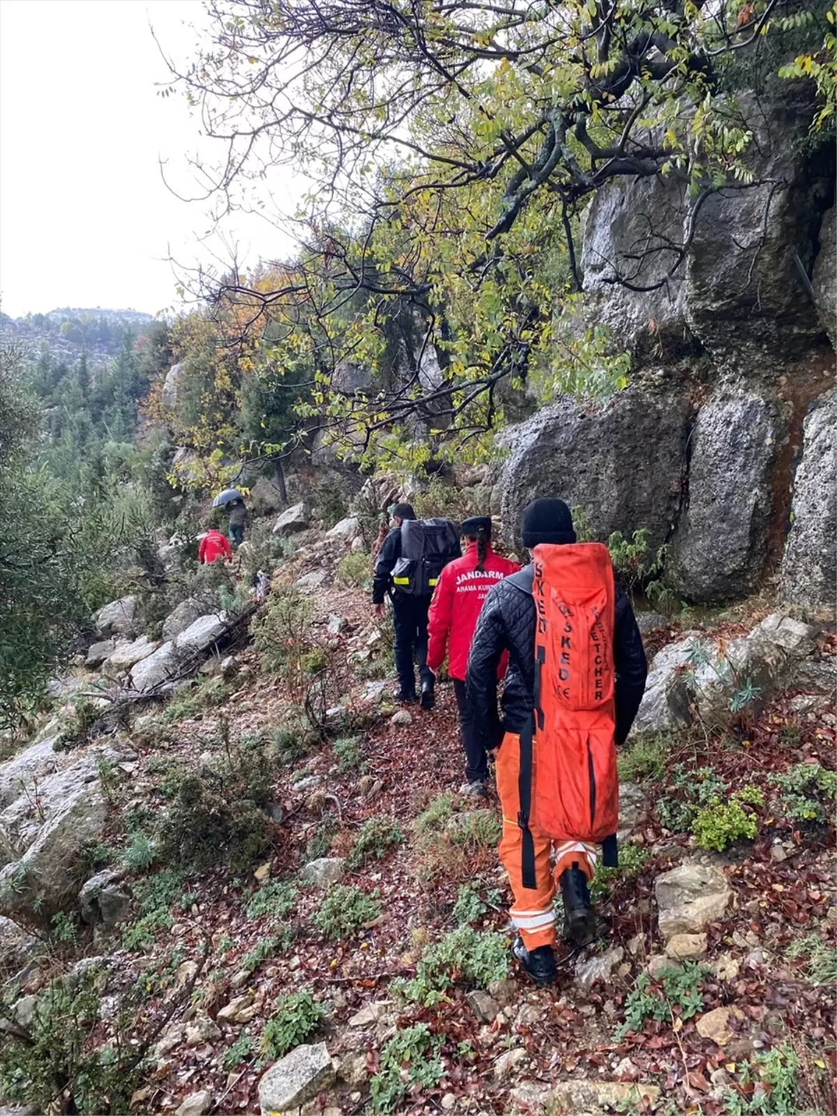 Mantar Toplamak İçin Giden Yaşlı Adam Hayatını Kaybetti