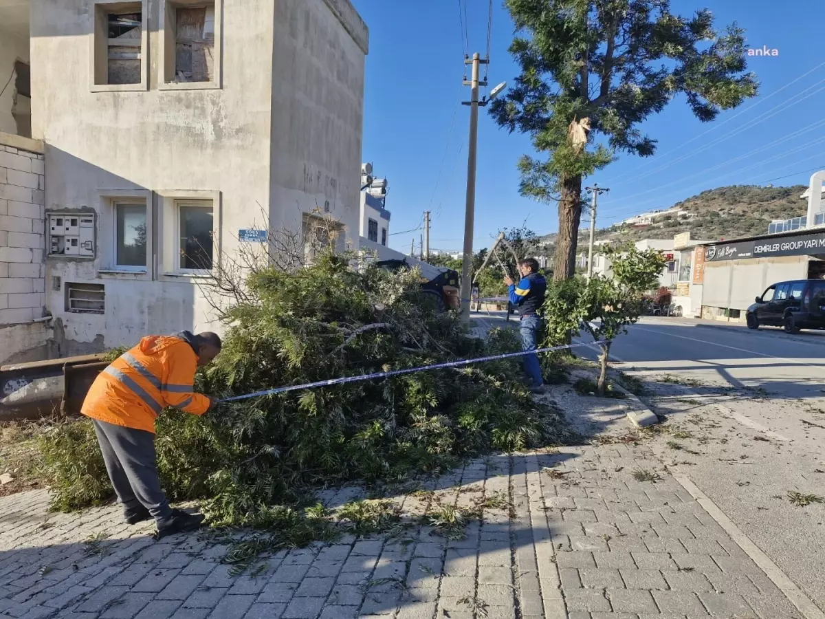 Bodrum Belediyesi Fırtına Nedeniyle Acil Müdahale Ekiplerini Güçlendirdi