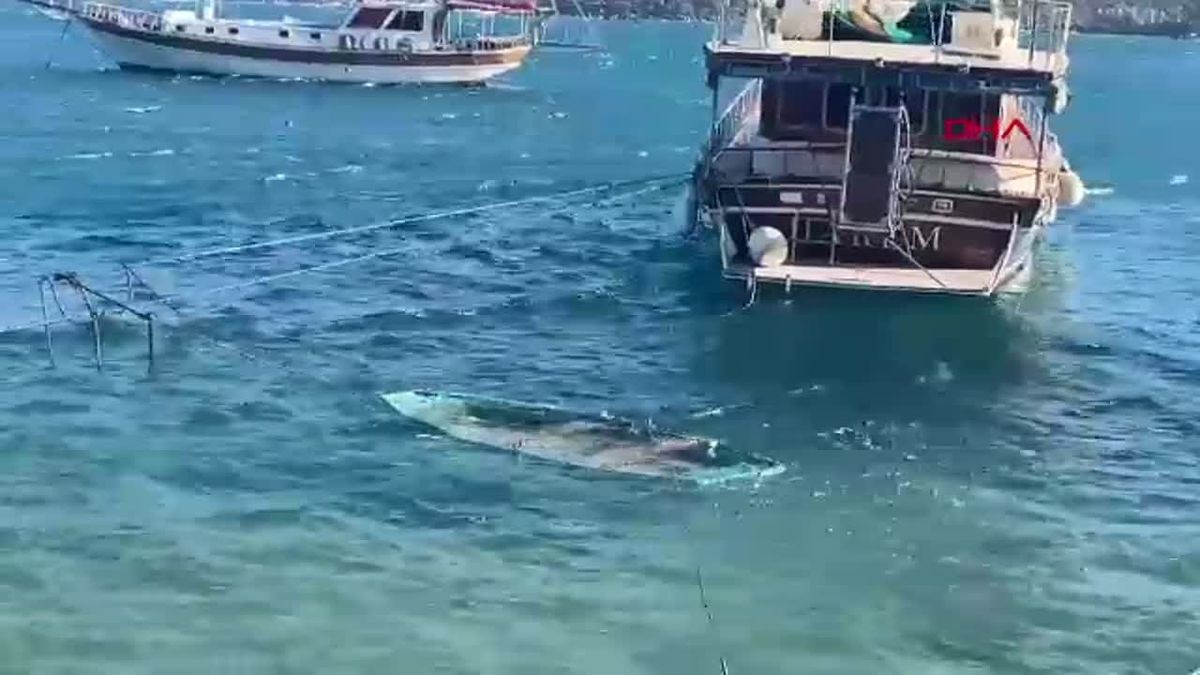 Bodrum\'da Fırtına: Ağaçlar Devrildi, Balıkçı Teknesi Suya Gömdü