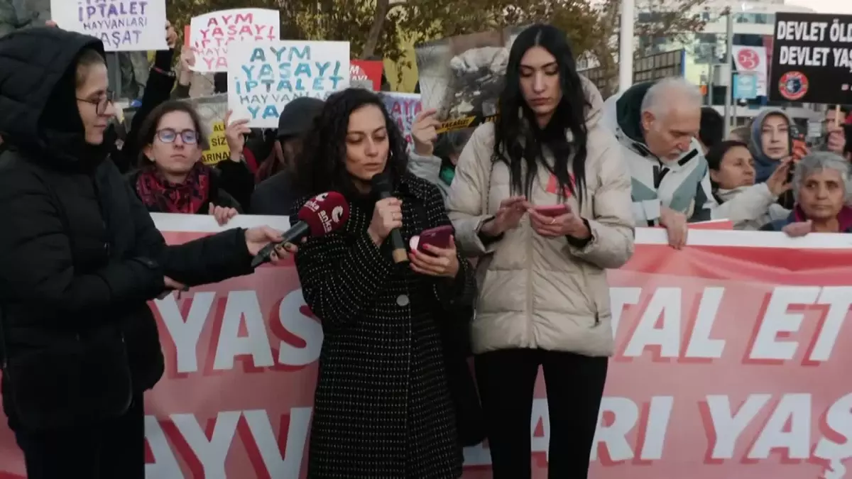 Kadıköy\'de Hayvan Hakları Eylemi