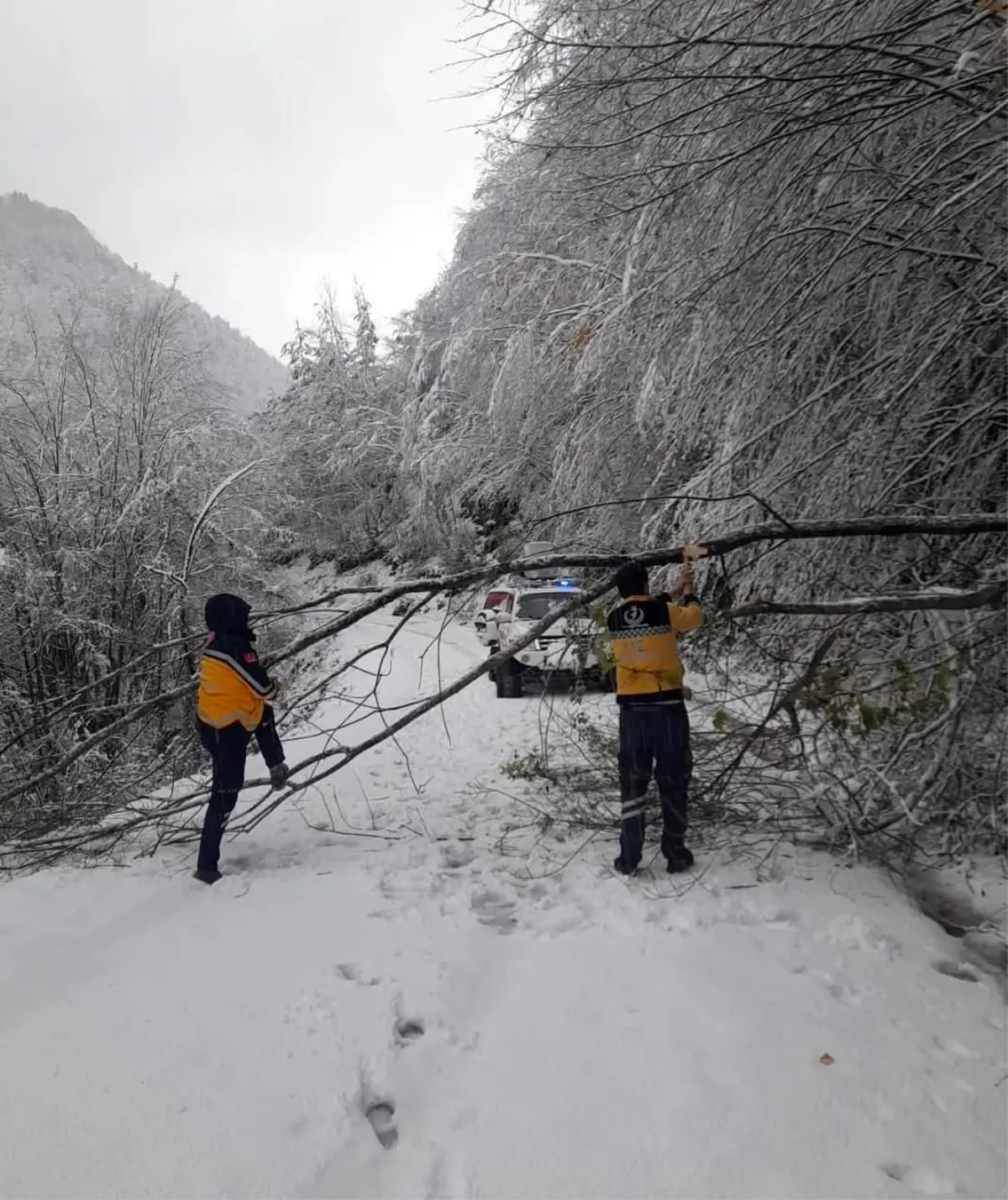 Kastamonu\'da Paletli Ambulansla Kurtarma