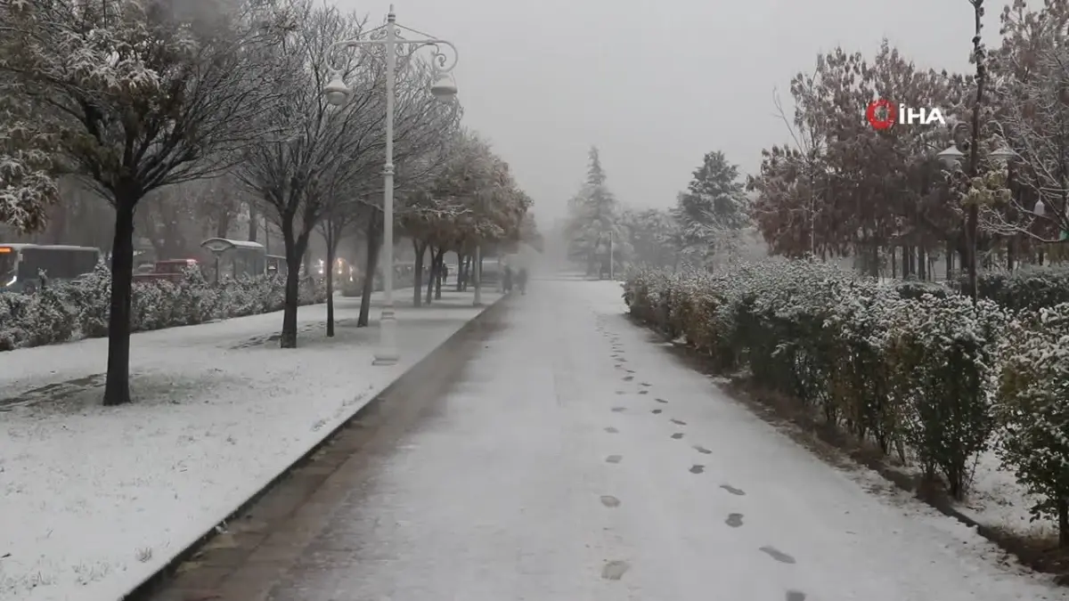 Malatya\'da Yoğun Kar Yağışı Ağaç Dallarını Kırdı