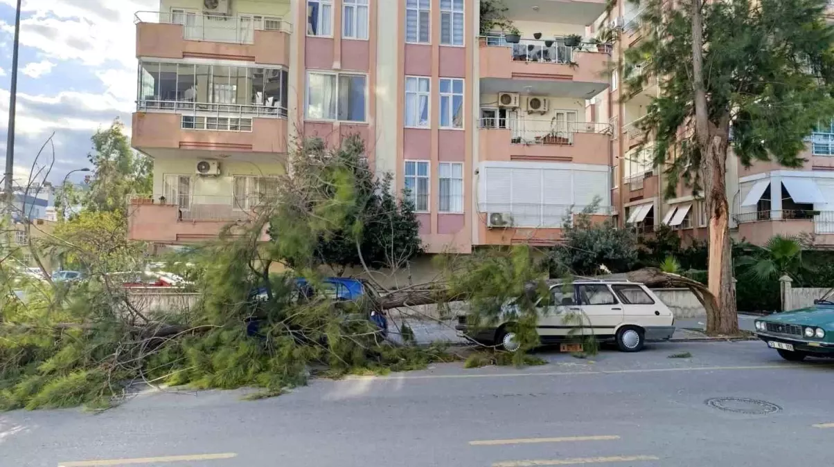 Mersin\'de Fırtına Zarar Verdi