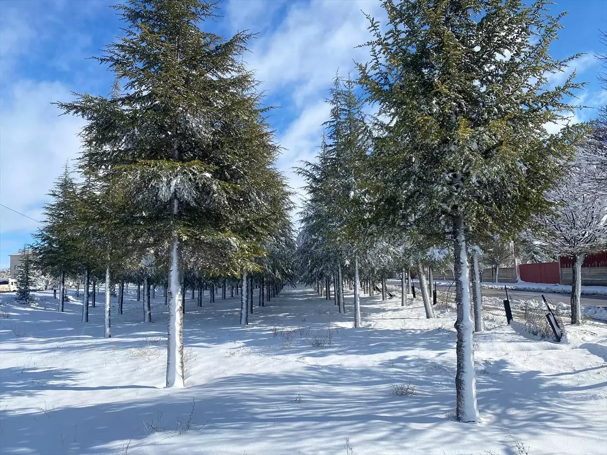 Sarayönü\'nde Kar Yağışı Etkili Oldu