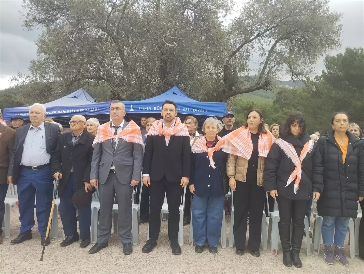 Orhanlı Zeytin Hasadı Festivali