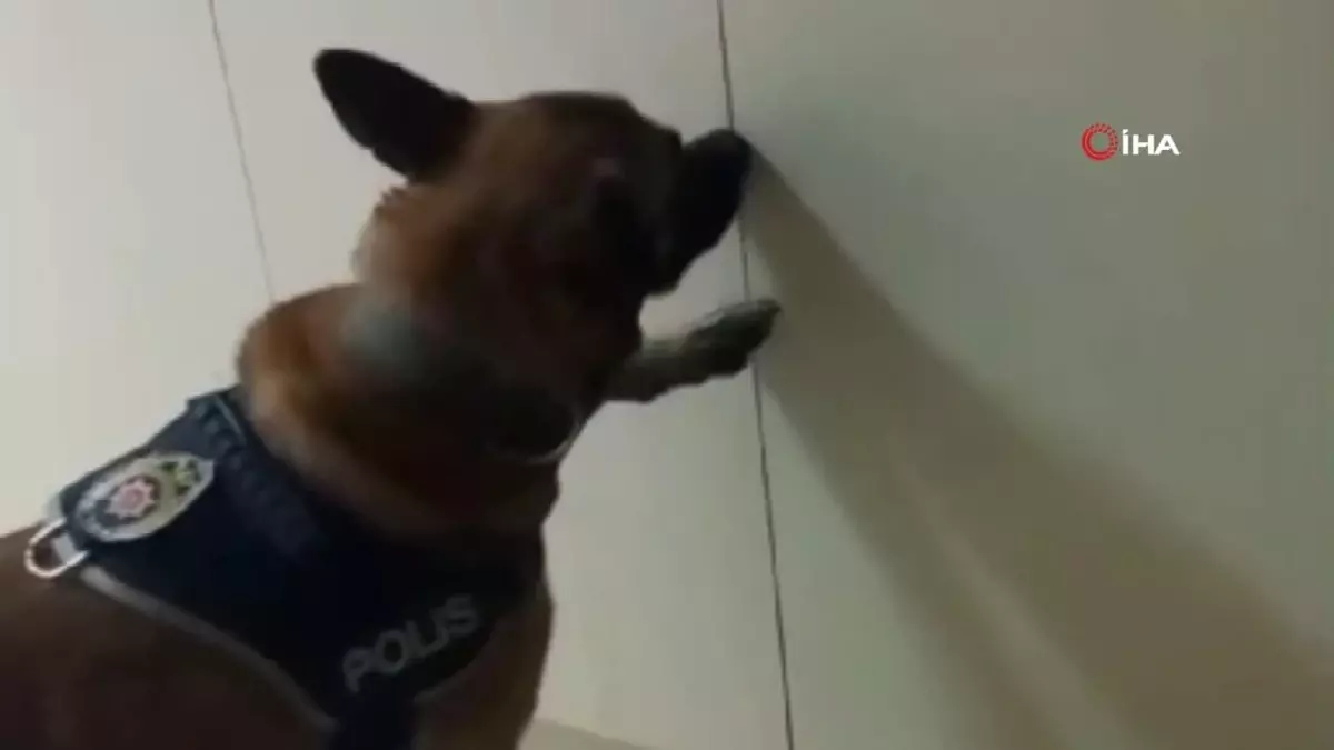 Tekirdağ\'da Dev Narkotik Operasyonu