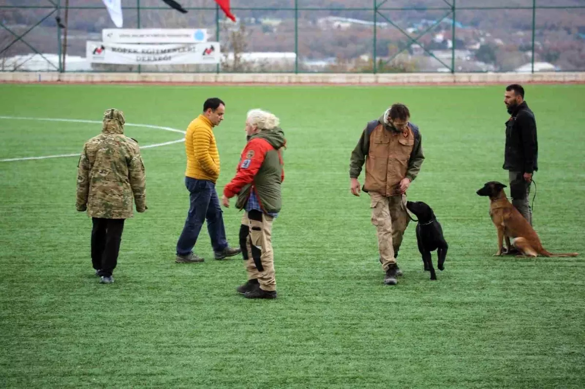 Çekmeköy\'de Arama Kurtarma Köpekleri Semineri Düzenlendi