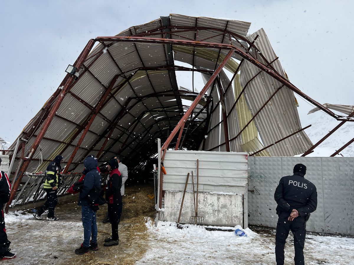 Kayseri\'de Çatı Çökmesi: 30 Büyükbaş Hayvan Göçükte
