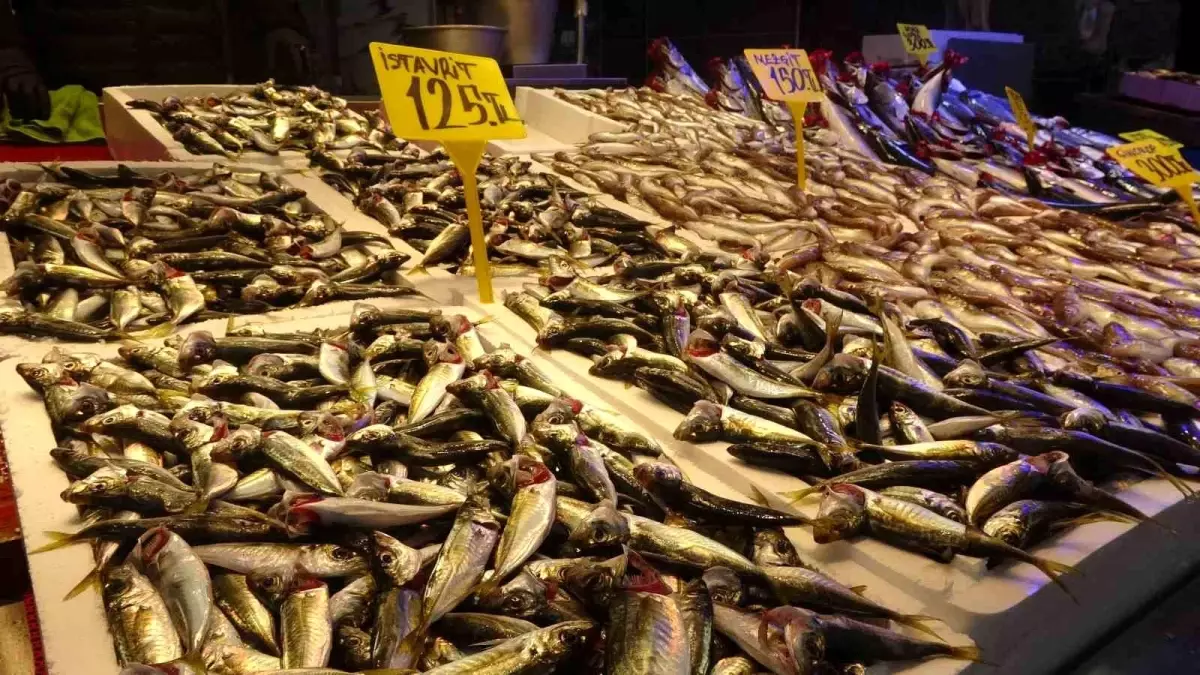 Hamsi Fiyatları İki Katına Çıktı
