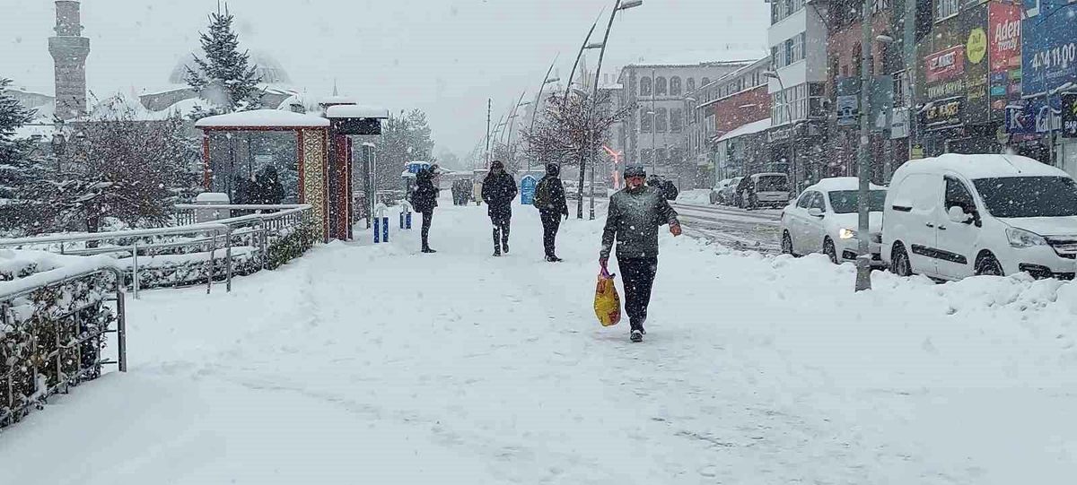 Erzurum\'u Kar Esir Aldı