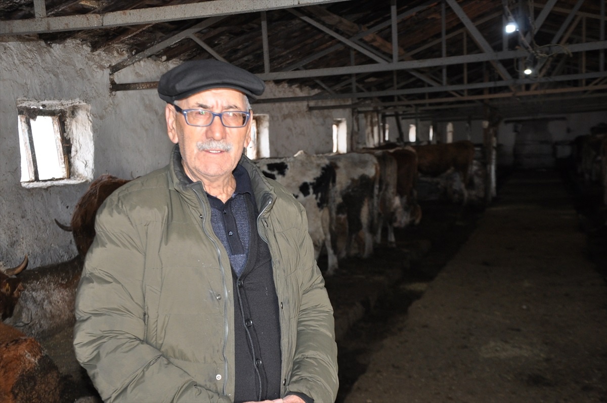 Kars\'ta Ahırlara Güvenlik Kamerası Zorunluluğu