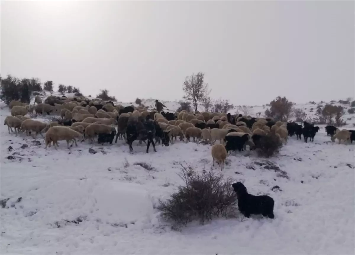 Kayseri\'de Kaybolan Çoban Kurtarıldı