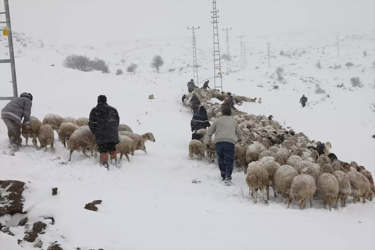 Kar Yağışıyla Mahsur Kalan Çoban ve Hayvanları Kurtarıldı