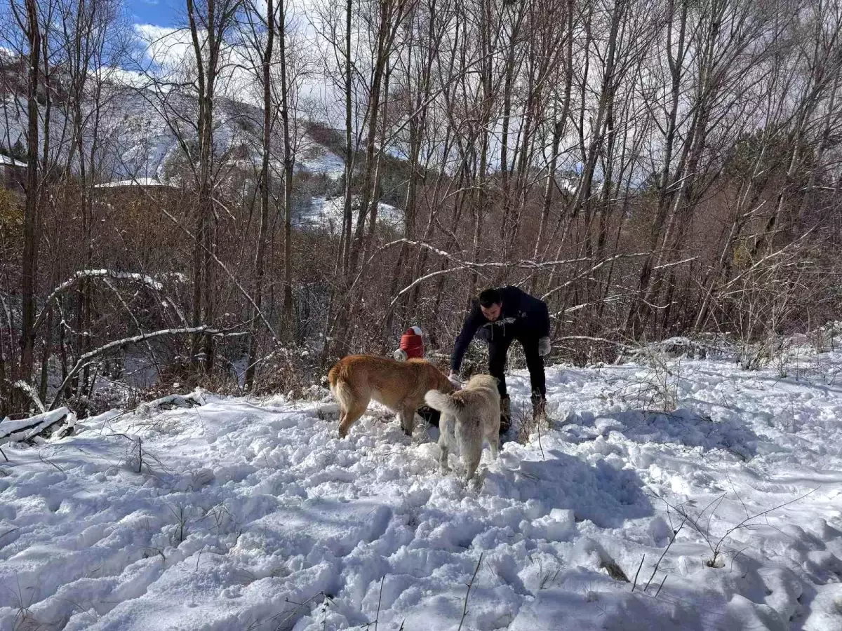 Keçiören Belediyesi Sokak Hayvanlarını Unutmadı