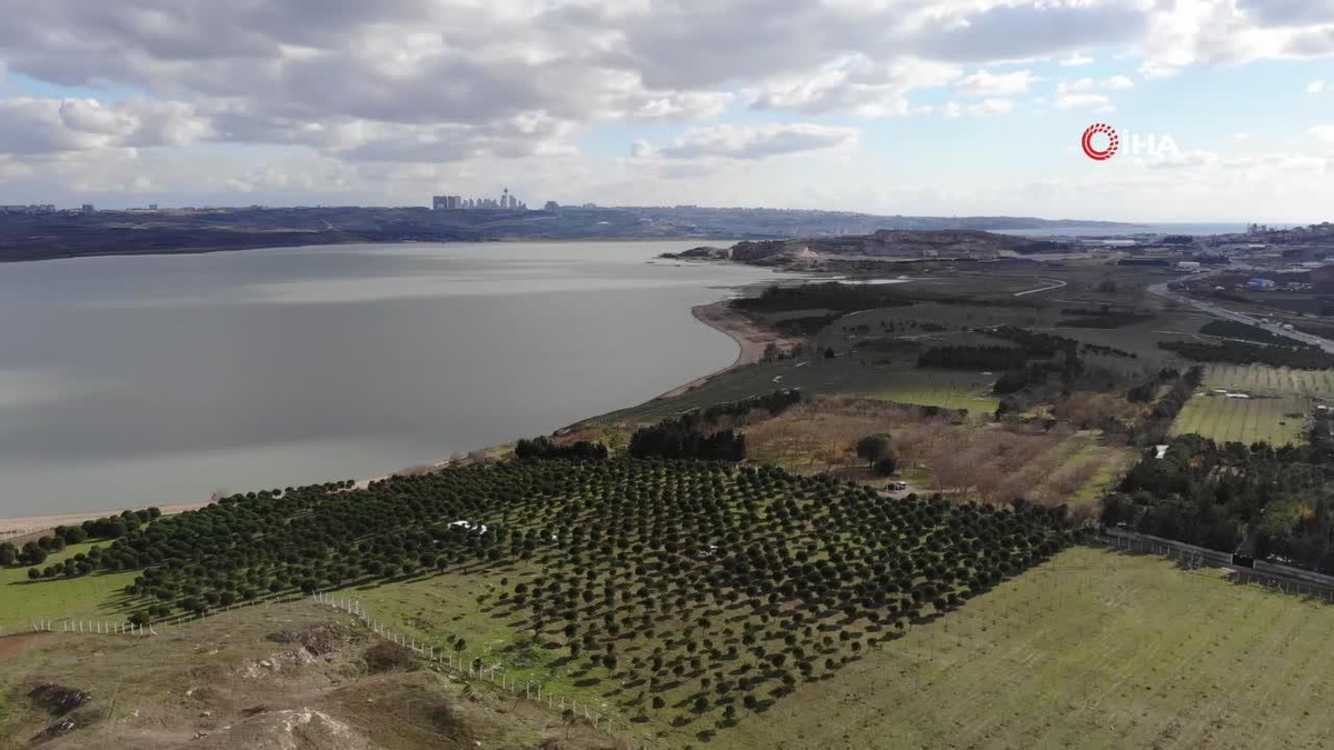 İstanbul\'da Aile Katliamı Detayları Ortaya Çıktı