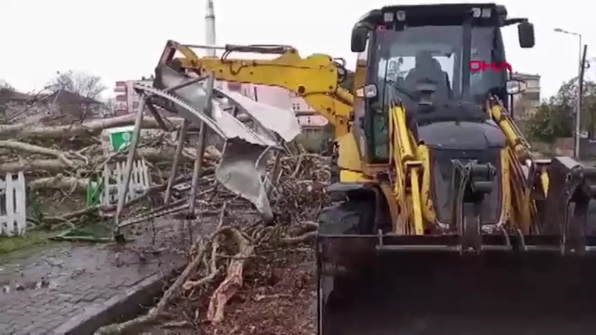 600 Yıllık Çınar Ağacı Şiddetli Rüzgarda Devrildi