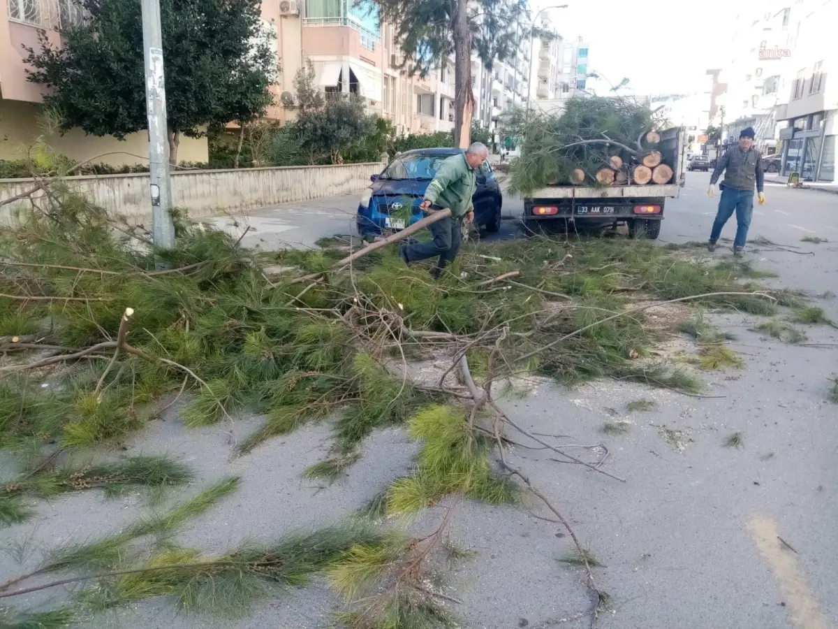 Silifke\'de Fırtına Sonrası Temizlik ve Onarım Çalışmaları Devam Ediyor