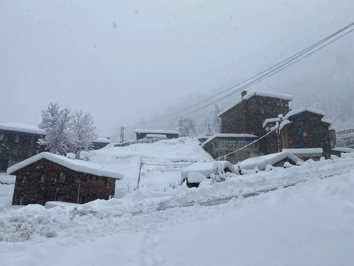 Uzungöl ve Ayder Yaylası Karla Beyazlandı