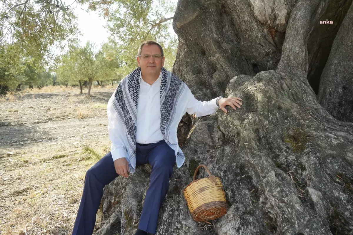 Ayvalık\'ta Dünya Zeytin Ağacı Günü Kutlaması