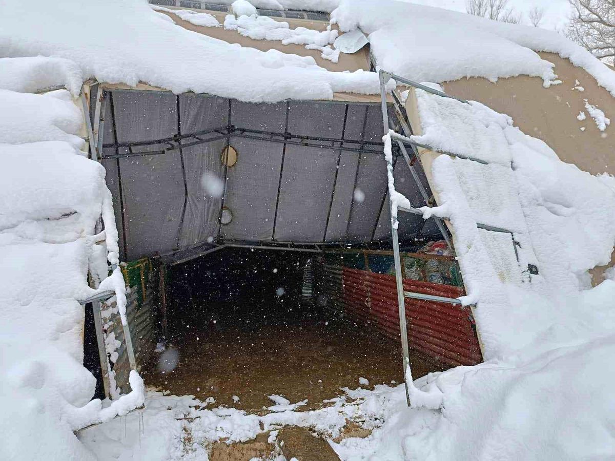 Bayburt\'ta Ahırın Damı Kar Yenilmesine Neden Oldu