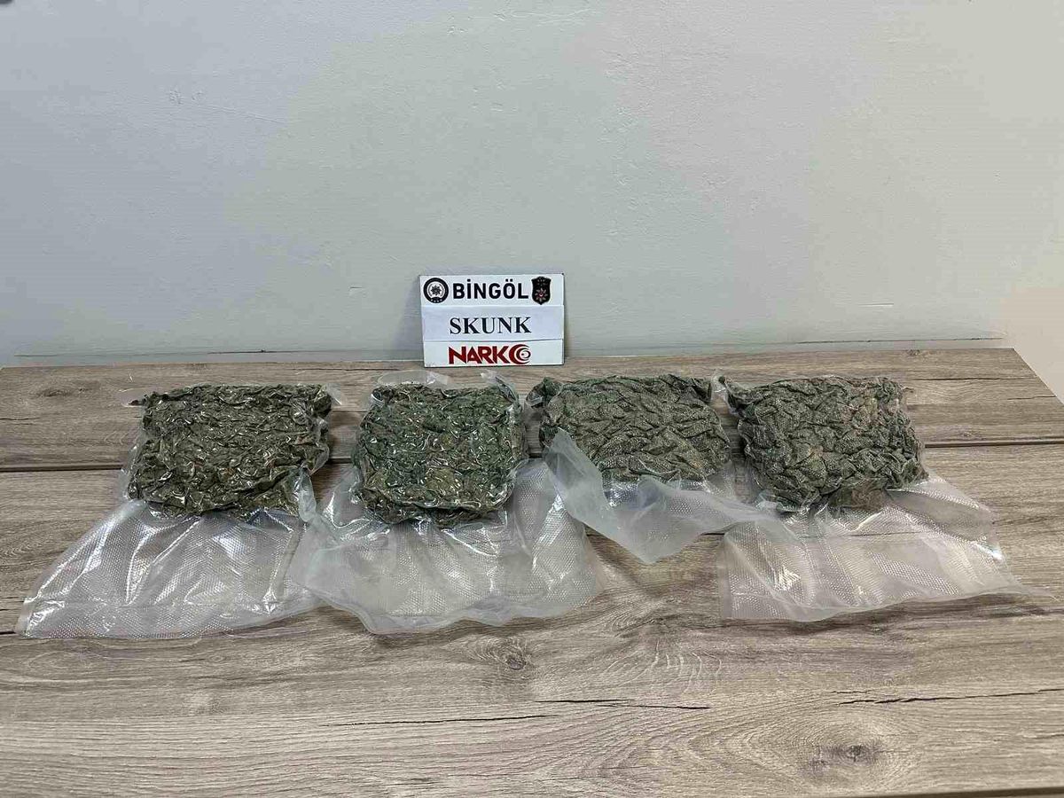 Bingöl\'de Skunk Operasyonu
