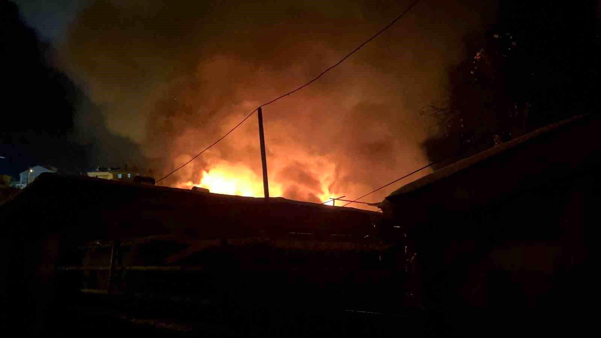 Kastamonu\'da Yangın Korkuttu