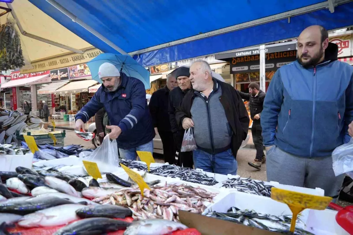 Hamsi Fiyatları Patladı