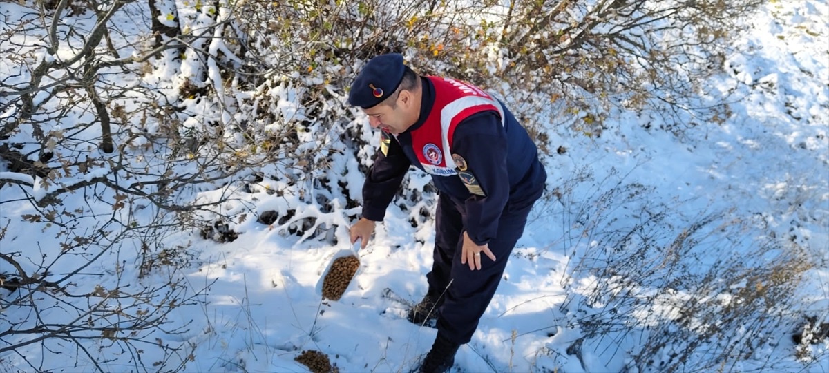 Yozgat Jandarması Yaban Hayvanlarını Unutmadı