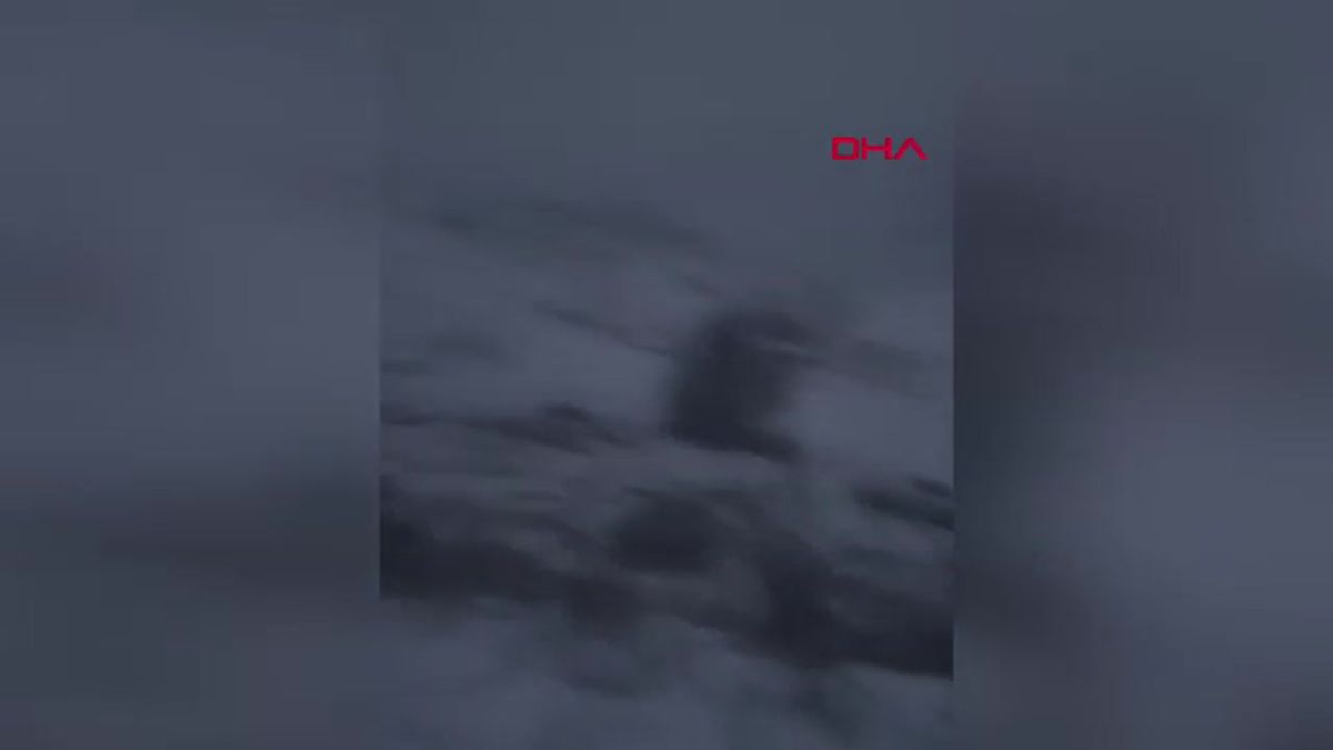 Ardahan\'da Kar ve Tipi Nedeniyle Şarampole Devrilen Araçta Sıkışan Sürücü Kurtarıldı