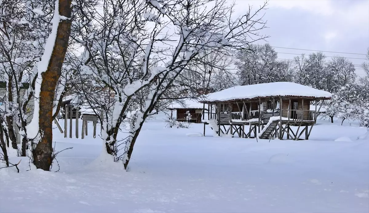 Ambarköy Açık Hava Müzesi Karla Kaplandı