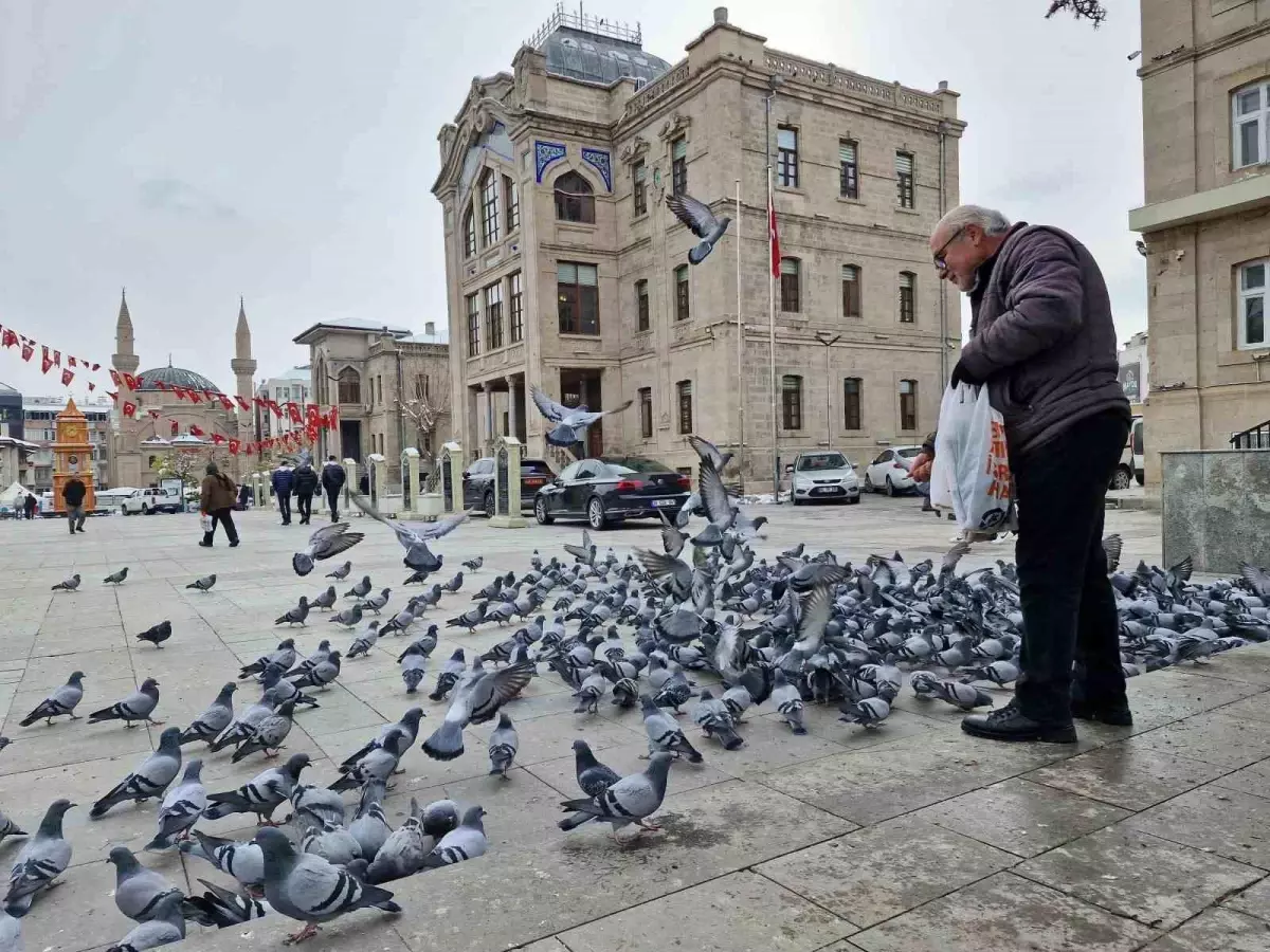 Aksaray\'da Kuşlara Yardım Eli