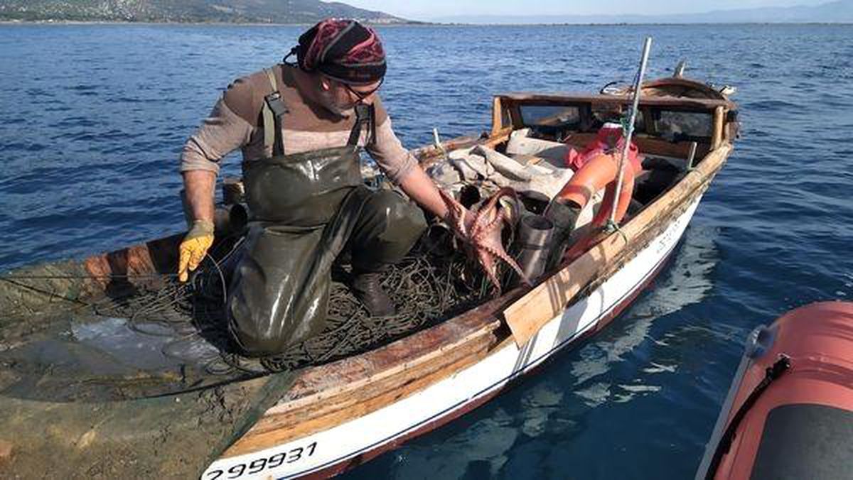 Söke\'de Amatör Balıkçılara Uyarı