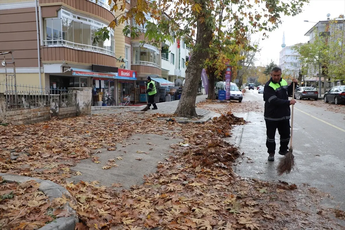 Turhal\'da Dökülen Yapraklardan Torf Üretimi