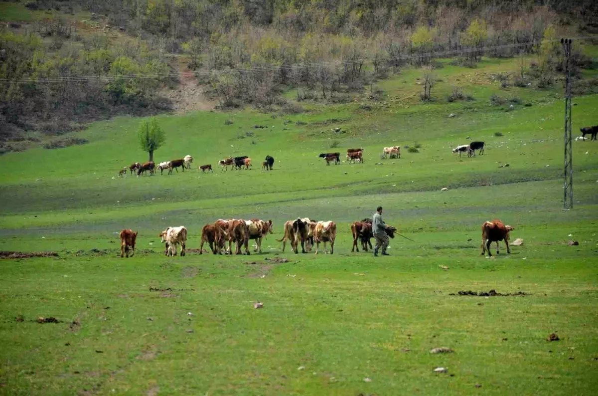 Aydın\'da Mera Islah Projesi Başladı