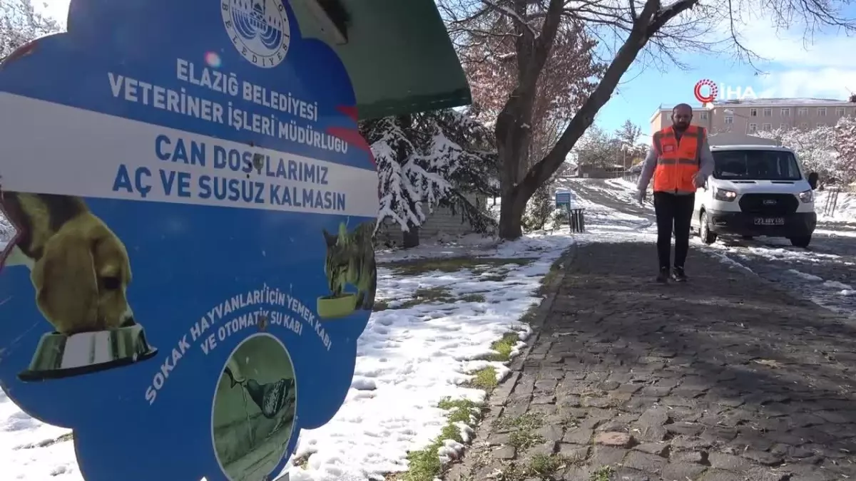 Elazığ Belediyesi\'nden Sokak Hayvanlarına Yem Desteği