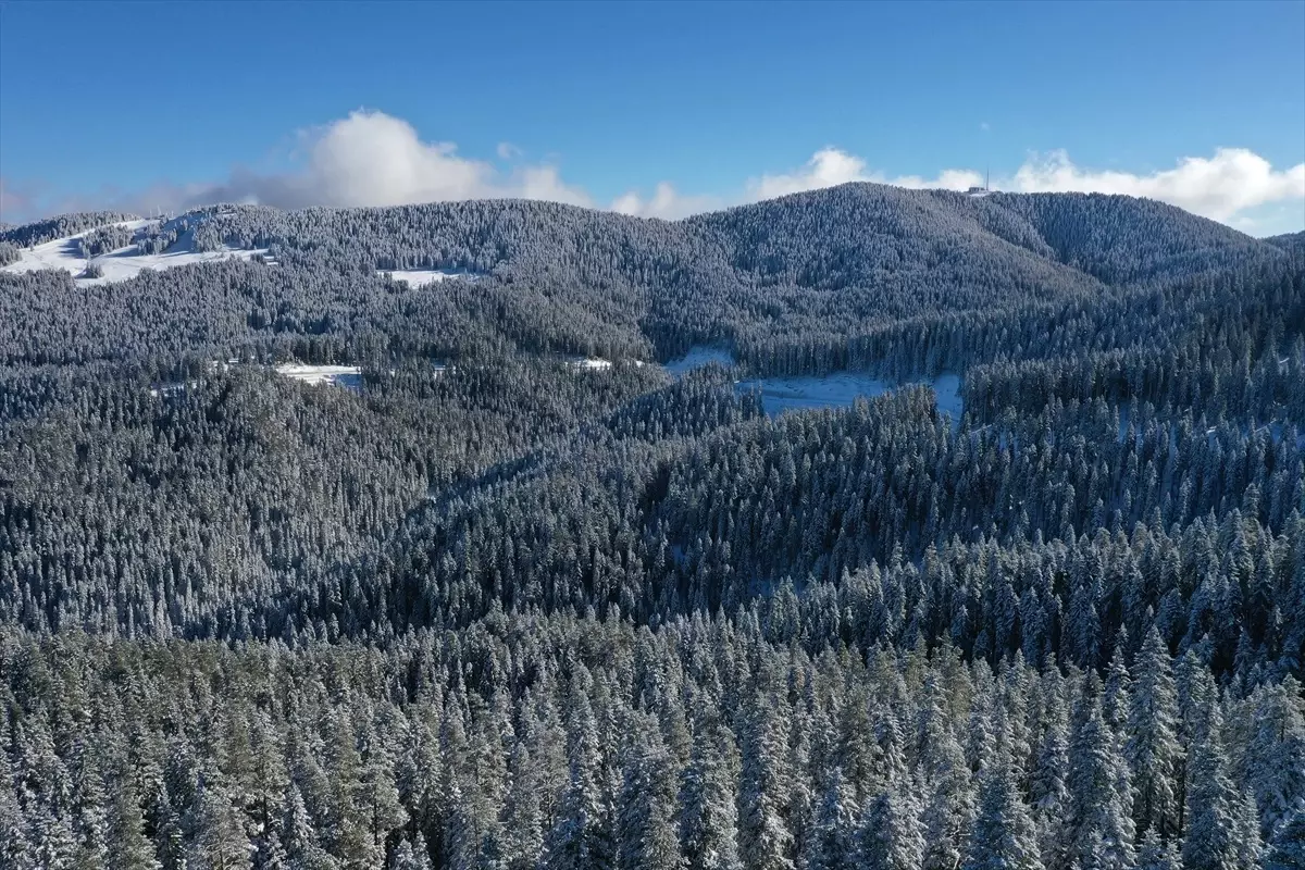 Ilgaz Dağı\'nda Kar Manzarası