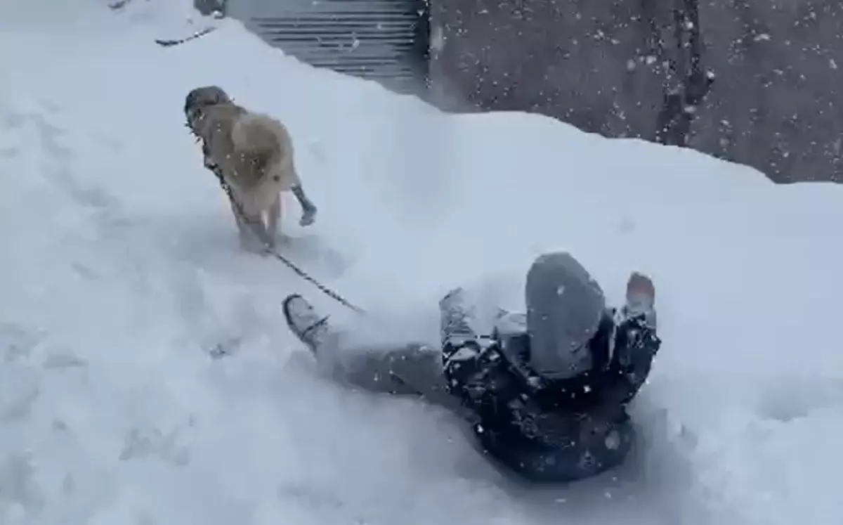 Kangal Köpeğiyle Kayak Keyfi