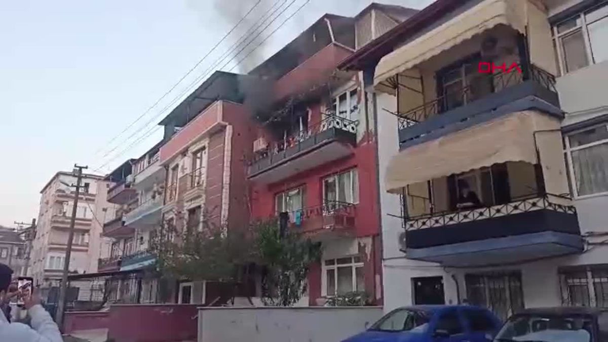 İzmit\'te Elektrik Sobası Yangın Çıkardı, İtfaiye Kediyi ve Köpeği Kurtardı