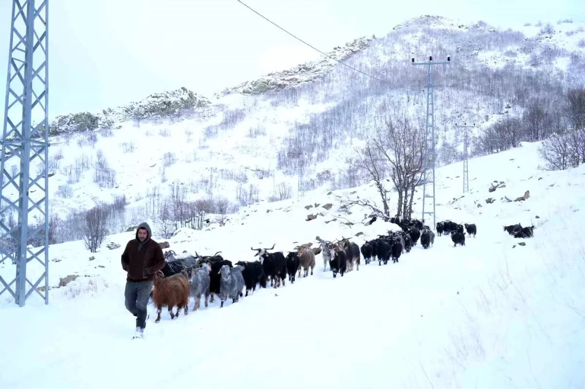 Besiciler Kar Yağışına Hazırlıksız Yakalandı