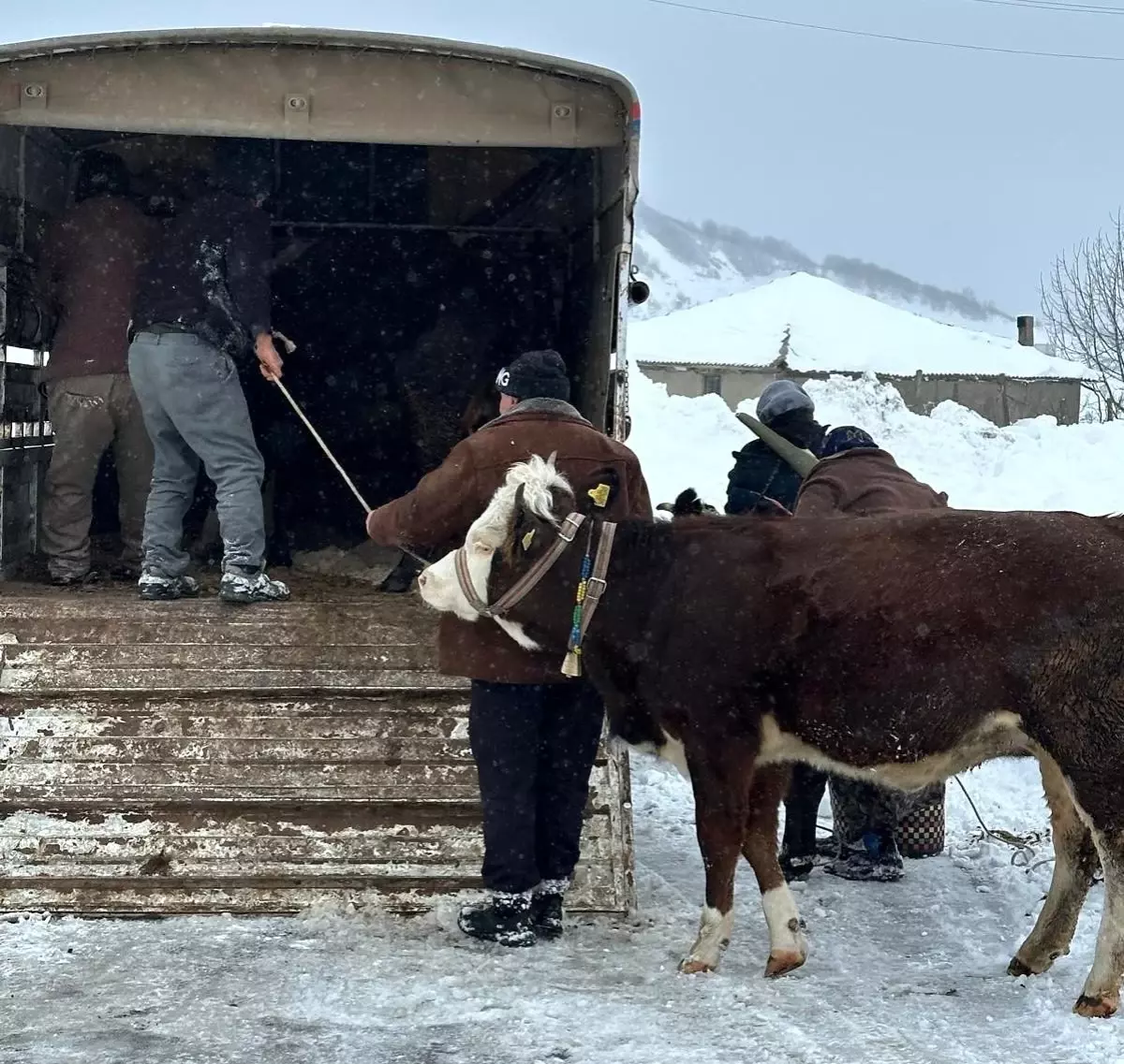 Korgan Yaylası\'nda Mahsur Kalan Besiciler Kurtarıldı