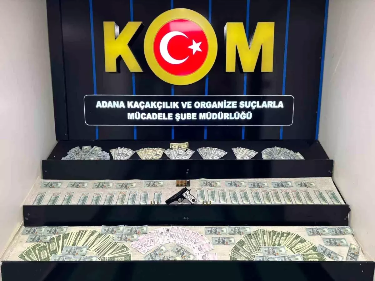 Adana\'da Sahte Dolar Operasyonu: 15 Gözaltı