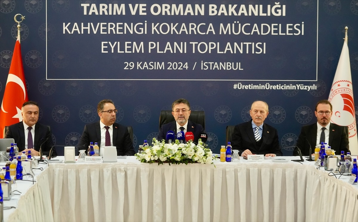 Kahverengi Kokarca ile Mücadele Başladı