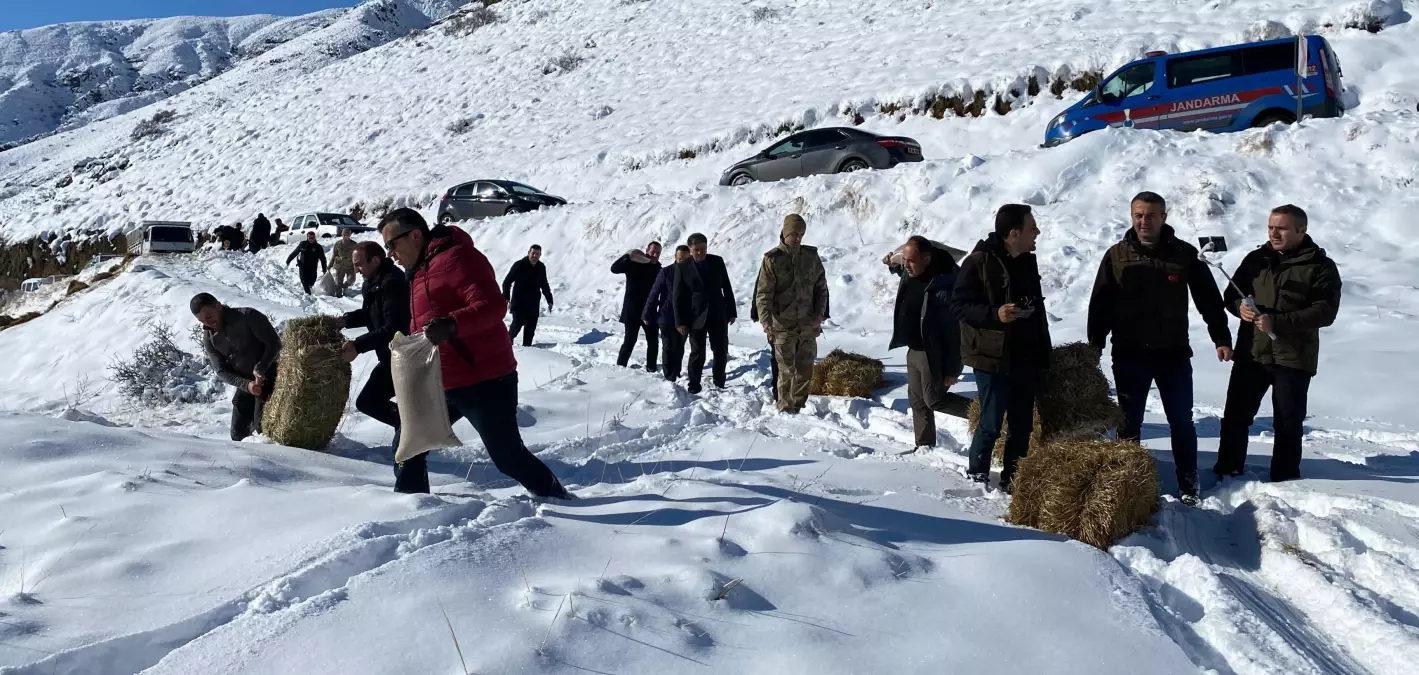 Erzurum\'da Yaban Hayvanları İçin Doğaya Yem Bırakıldı