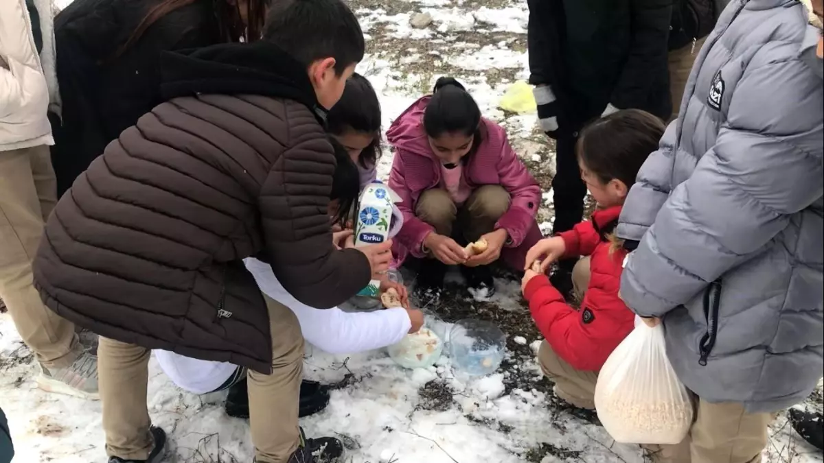 Öğrenciler Hayvanlar İçin Harekete Geçti