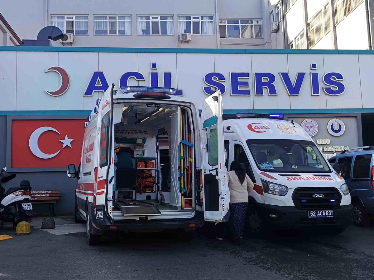 Ordu\'da Karbonmonoksit Zehirlenmesi