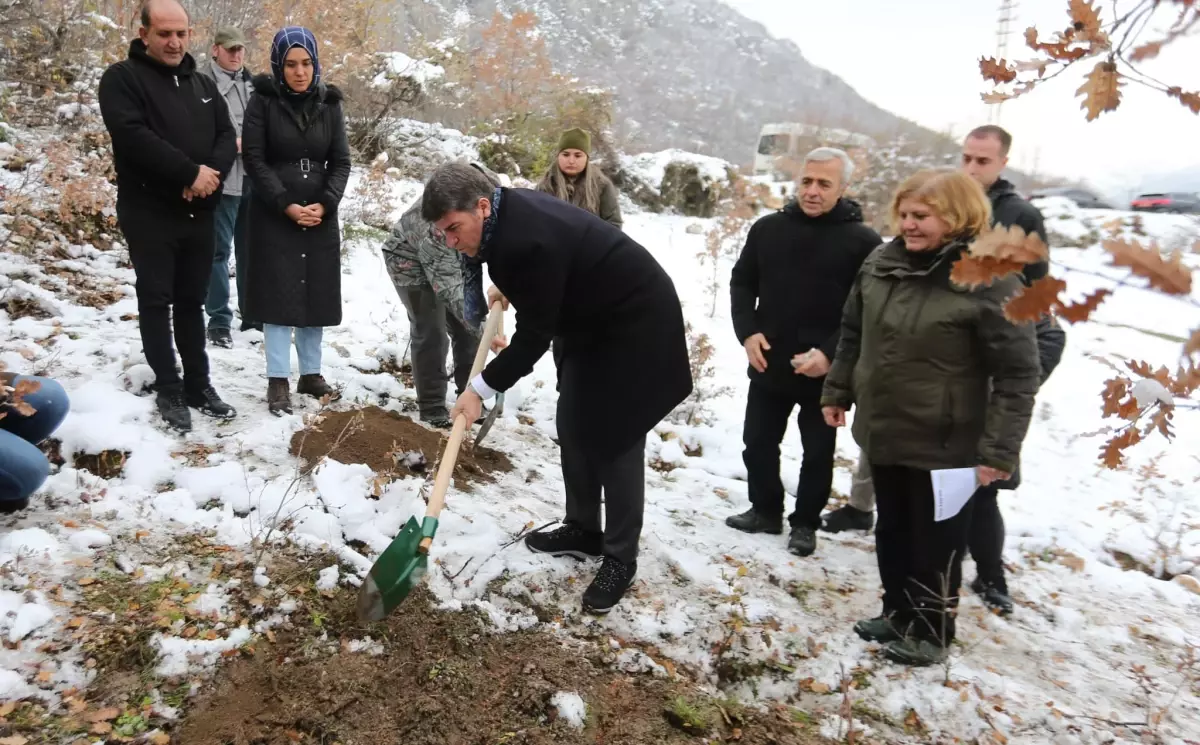 Yitik Lale 132 Yıl Sonra Amasya\'ya Kavuştu