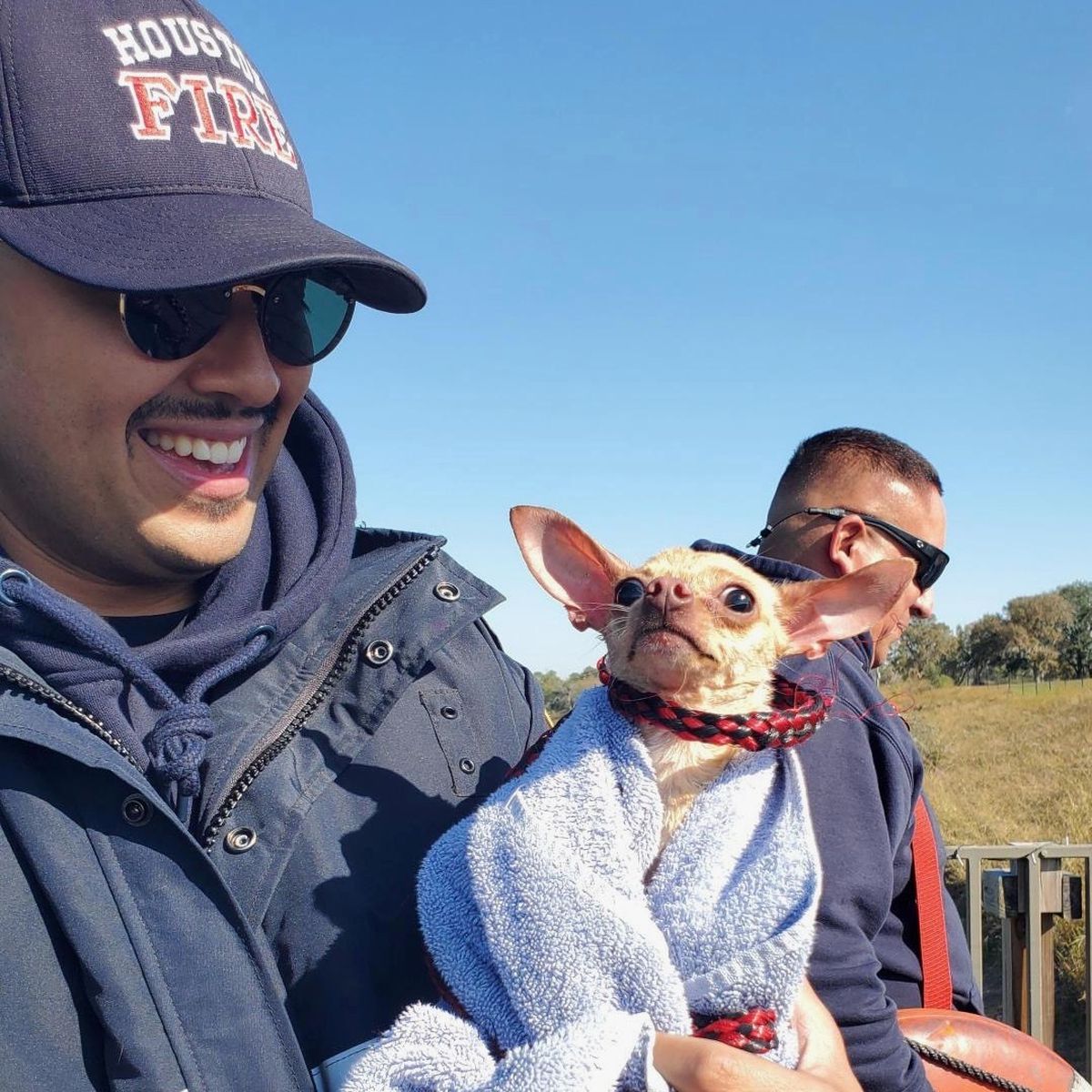 Houston\'da Köprü Altında Mahsur Kalan Chihuahua Kurtarıldı