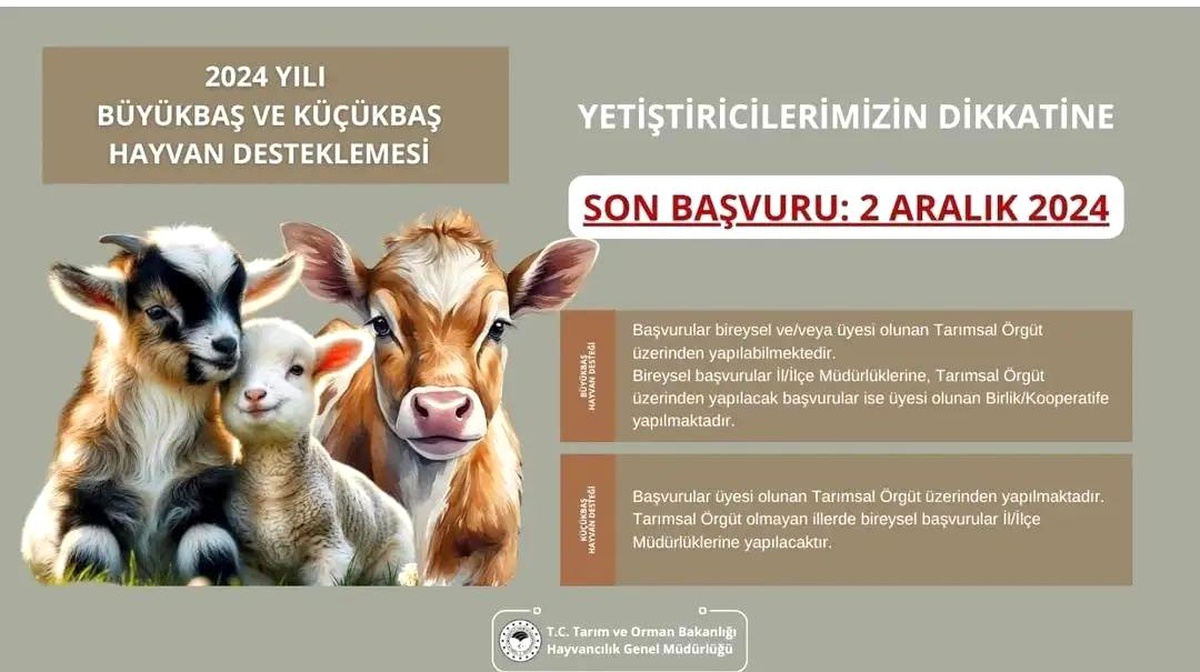Aydın\'da Destekleme Başvurusu İçin Son Tarih