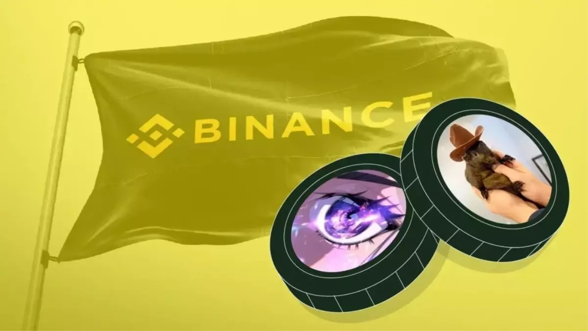 Binance memecoin projeleri için yeni kriterler belirledi