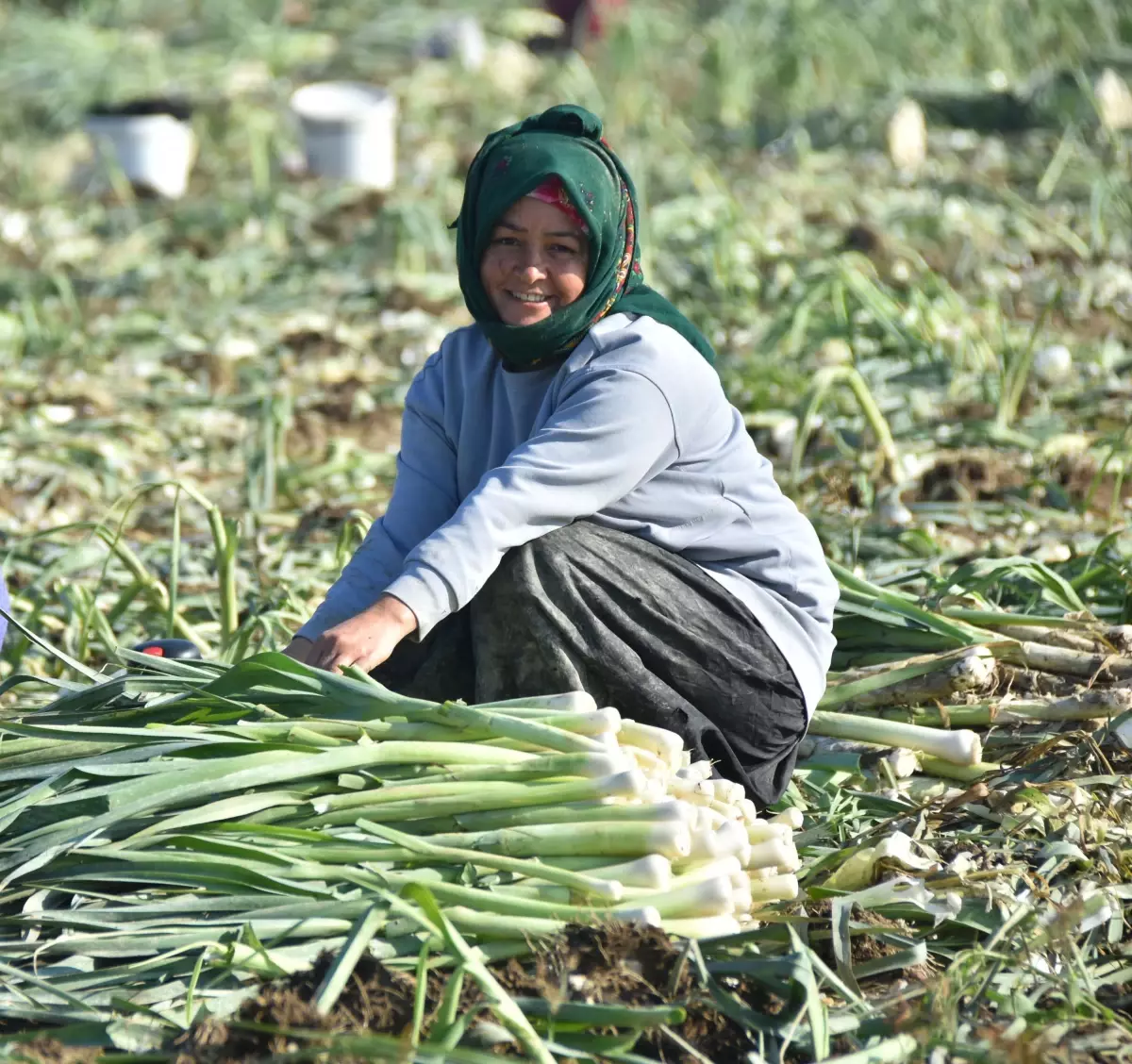 Kuraklık Üretimi Olumsuz Etkiliyor: Brokoli ve Pırasa Üretiminde Büyük Düşüş